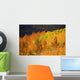 Colorado, Near Steamboat Springs, Autumn Aspen Trees On Buffalo Pass Wall Mural