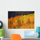 Colorado, Near Steamboat Springs, Autumn Aspen Trees On Buffalo Pass Wall Mural