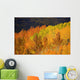 Colorado, Near Steamboat Springs, Autumn Aspen Trees On Buffalo Pass Wall Mural