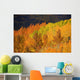 Colorado, Near Steamboat Springs, Autumn Aspen Trees On Buffalo Pass Wall Mural