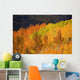 Colorado, Near Steamboat Springs, Autumn Aspen Trees On Buffalo Pass Wall Mural