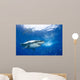 Mexico, Great White Shark Wall Mural