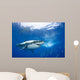 Mexico, Great White Shark Wall Mural