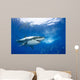Mexico, Great White Shark Wall Mural