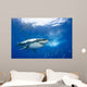 Mexico, Great White Shark Wall Mural