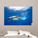 Mexico, Great White Shark Wall Mural