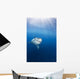 Mexico, Great White Shark Wall Mural