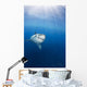 Mexico, Great White Shark Wall Mural