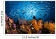 Indonesia, Diver And School Of Fusiliers And Alcyonarians Wall Mural