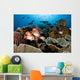 Indonesia, School Of Shoulderbar Soldierfish Wall Mural
