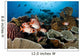 Indonesia, School Of Shoulderbar Soldierfish Wall Mural