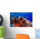 USA, Slate Pencil Urchin Wall Mural