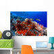 USA, Slate Pencil Urchin Wall Mural