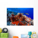 USA, Slate Pencil Urchin Wall Mural