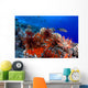 USA, Slate Pencil Urchin Wall Mural