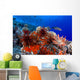USA, Slate Pencil Urchin Wall Mural