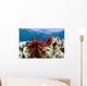 USA, Slate Pencil Urchin Wall Mural
