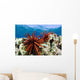USA, Slate Pencil Urchin Wall Mural
