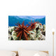 USA, Slate Pencil Urchin Wall Mural