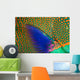 Indonesia, Close-Up Of Parrotfish Scales And Pectoral Fin Wall Mural