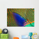 Indonesia, Close-Up Of Parrotfish Scales And Pectoral Fin Wall Mural