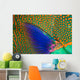 Indonesia, Close-Up Of Parrotfish Scales And Pectoral Fin Wall Mural