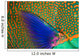 Indonesia, Close-Up Of Parrotfish Scales And Pectoral Fin Wall Mural