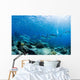 Schooling Bigeye Jack Fish Wall Mural