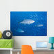 Malaysia, Schooling Bigeye Jack Fish Wall Mural