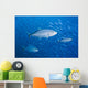 Malaysia, Schooling Bigeye Jack Fish Wall Mural