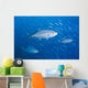 Malaysia, Schooling Bigeye Jack Fish Wall Mural