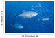 Malaysia, Schooling Bigeye Jack Fish Wall Mural