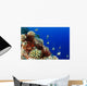 USA, Typical Hawaiian Reef Scene Wall Mural