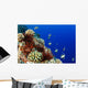 USA, Typical Hawaiian Reef Scene Wall Mural