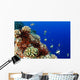 USA, Typical Hawaiian Reef Scene Wall Mural