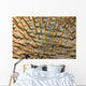 Micronesia, Close-Up Of Crown-Of-Thorns Starfish Wall Mural