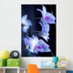 Hawaii, Kauai, White Orchid With Purple Lighting Wall Mural