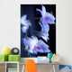 Hawaii, Kauai, White Orchid With Purple Lighting Wall Mural