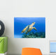 USA, Green Sea Turtle Endangered Species Wall Mural