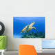 USA, Green Sea Turtle Endangered Species Wall Mural