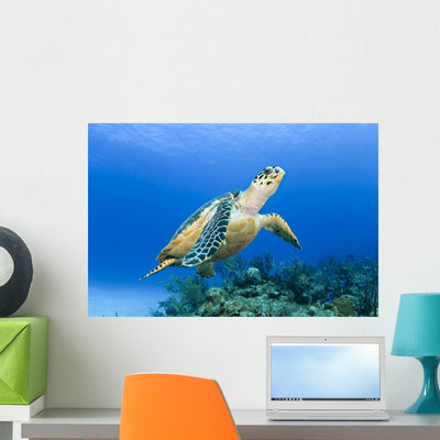 Usa Green Sea Turtle Wall Mural shown on a wall