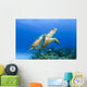 USA, Green Sea Turtle Endangered Species Wall Mural