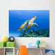 USA, Green Sea Turtle Endangered Species Wall Mural