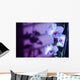 Hawaii, Kauai, White Orchid With Purple Lighting Wall Mural