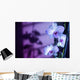 Hawaii, Kauai, White Orchid With Purple Lighting Wall Mural