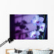 Hawaii, Kauai, White Orchid With Purple Lighting Wall Mural