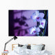 Hawaii, Kauai, White Orchid With Purple Lighting Wall Mural