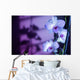 Hawaii, Kauai, White Orchid With Purple Lighting Wall Mural