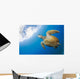 USA, Green Sea Turtle Endangered Species Wall Mural