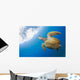 USA, Green Sea Turtle Endangered Species Wall Mural